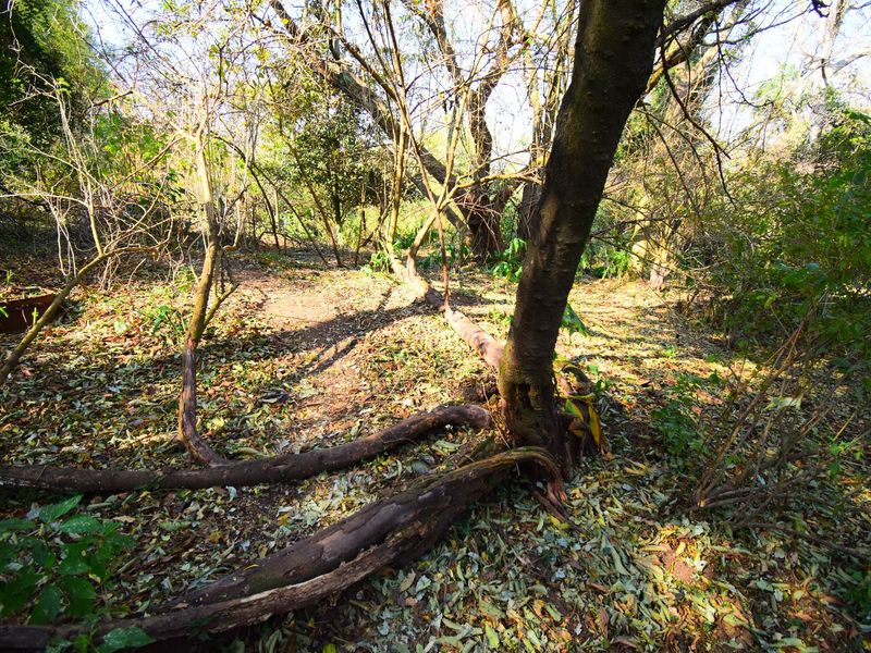R 11 000,000 - 14.89 Ha Vacant Land for Sale in Montrose - Photo 9