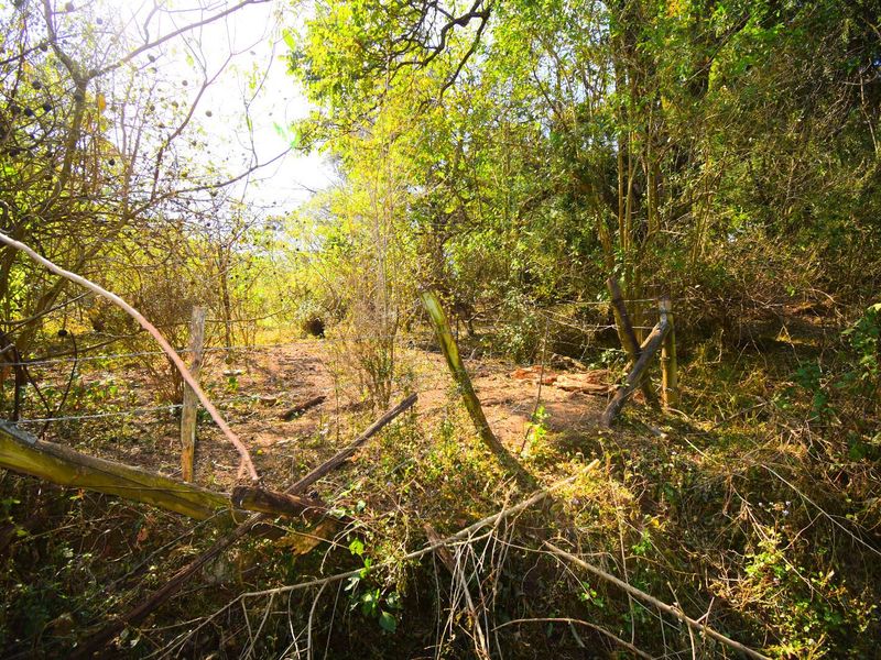 R 11 000,000 - 14.89 Ha Vacant Land for Sale in Montrose - Photo 10