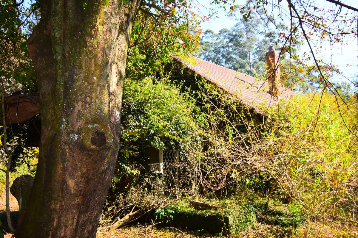 R 11 000,000 - 14.89 Ha Vacant Land for Sale in Montrose - Photo 5