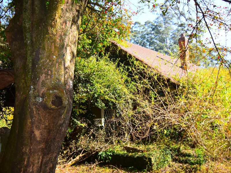 R 11 000,000 - 14.89 Ha Vacant Land for Sale in Montrose - Photo 5