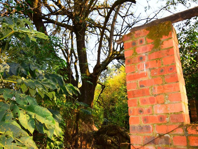 R 11 000,000 - 14.89 Ha Vacant Land for Sale in Montrose - Photo 6