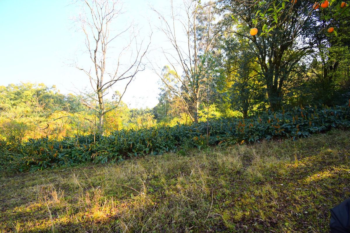 R 11 000,000 - 14.89 Ha Vacant Land for Sale in Montrose - Photo 3