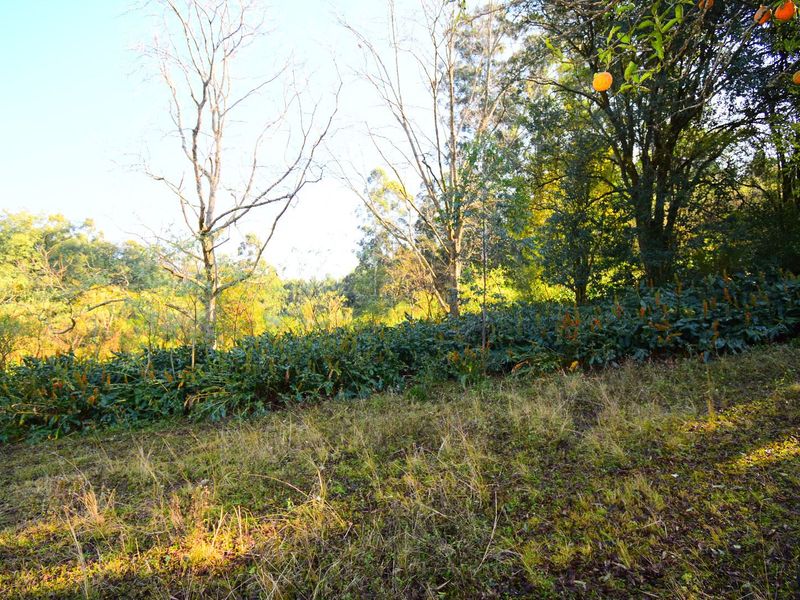 R 11 000,000 - 14.89 Ha Vacant Land for Sale in Montrose - Photo 3