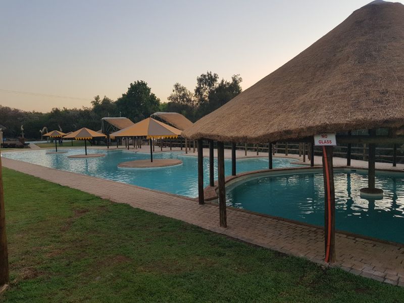 Outdoor swimming pool area featuring multiple thatched-roof structures, timber support posts, and a paved walkway surrounding the water.
