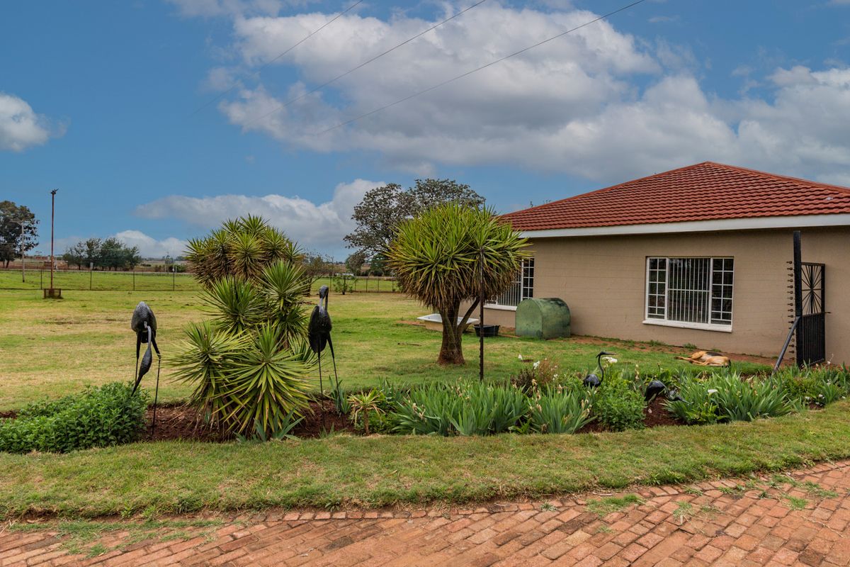 Rear view of the property featuring a tiled roof, security-barred windows, and a well-maintained garden area with brick paving.