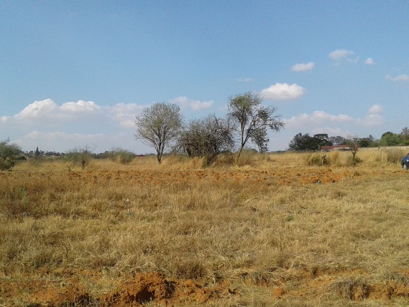 A view of an undeveloped commercial vacant land plot featuring natural grass and scattered trees under a clear sky.