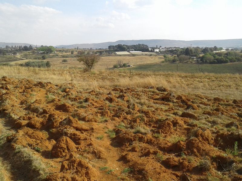 A wide-angle view of undeveloped commercial land featuring natural terrain and open fields under a clear sky.