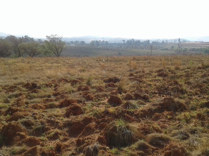 A wide-angle view of an undeveloped commercial land plot featuring natural terrain and distant landscape scenery.