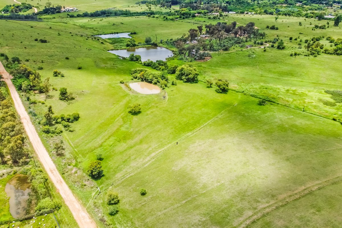 35 HA, secure, off grid, fully operational organic farm next to Cradle of Humankind  for sale. - Photo 2