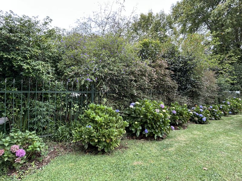 A well-maintained garden area featuring a manicured lawn, established flowering shrubs, and a decorative metal perimeter fence.
