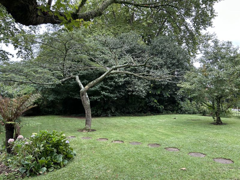 A well-maintained, lush green garden featuring mature trees, established shrubs, and a stone stepping-stone path across the lawn.