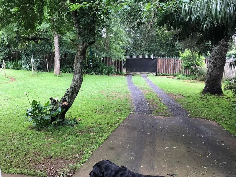 A spacious garden area featuring a gravel and concrete driveway leading to a secure gated entrance with mature trees and perimeter fencing.