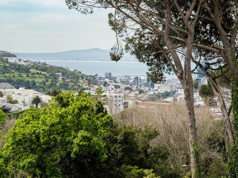 Secure Higgovale Sanctuary with Spectacular Views - Photo 9