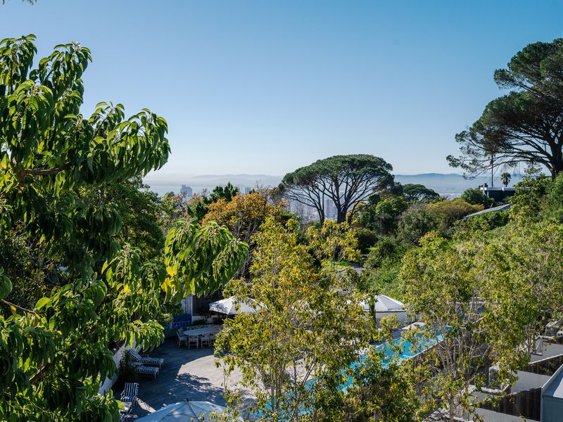 Forest Villa with Panoramic Views - Photo 3