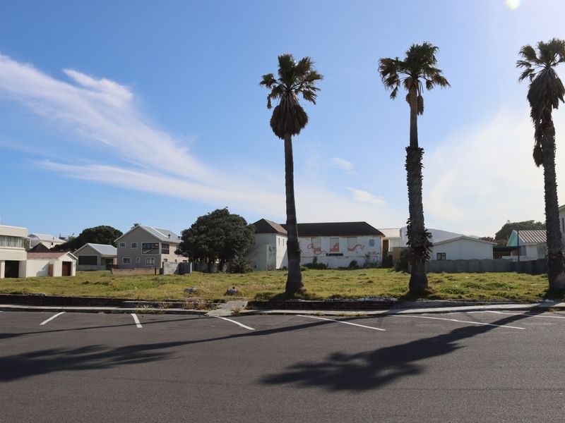 A vacant commercial land plot featuring mature palm trees and direct street access, situated in a developed neighbourhood.