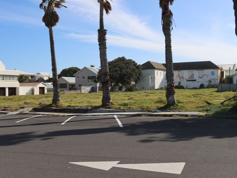 A vacant commercial land plot featuring mature palm trees, adjacent to a paved parking area in a residential neighborhood.