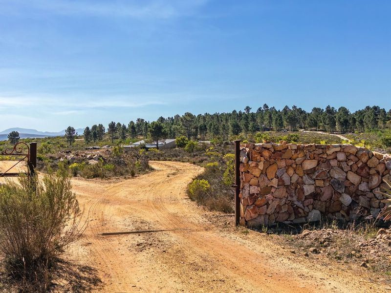 A rustic farm entrance featuring a stone boundary wall and a metal gate opening onto a dirt driveway leading into the property.