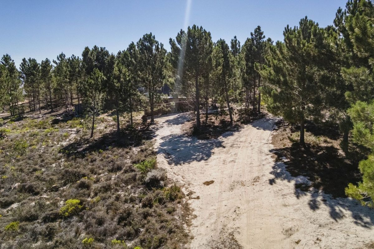 An aerial view of a rural farm property featuring a dirt access road winding through a pine forest landscape.