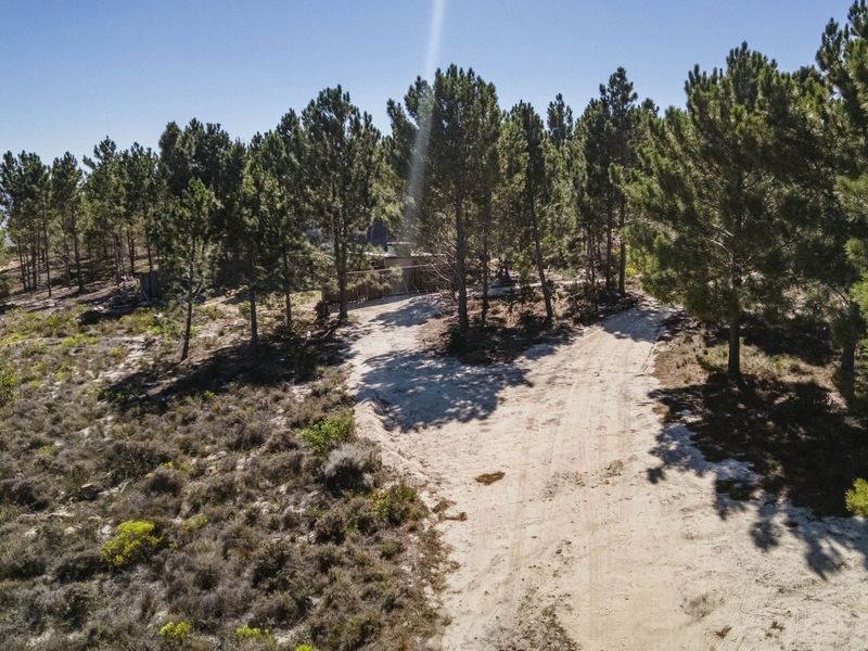 An aerial view of a rural farm property featuring a dirt access road winding through a pine forest landscape.