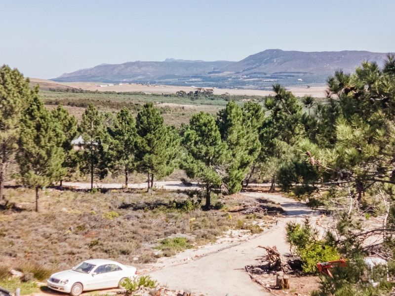A scenic elevated view of the farm landscape featuring a dirt access road, mature pine trees, and distant mountain ranges.
