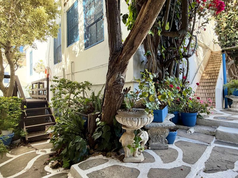 A charming, shaded rear courtyard featuring stone paving, mature trees, and an external staircase leading to the upper level of the guest house.