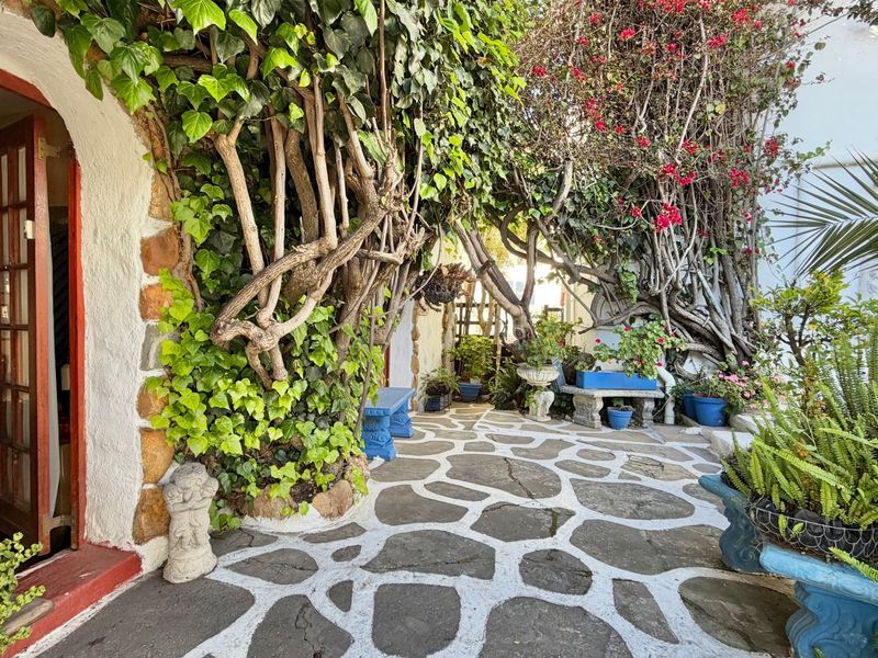 A charming, shaded patio area featuring stone paving, an arched entrance, and mature climbing vegetation, creating a tranquil outdoor space.