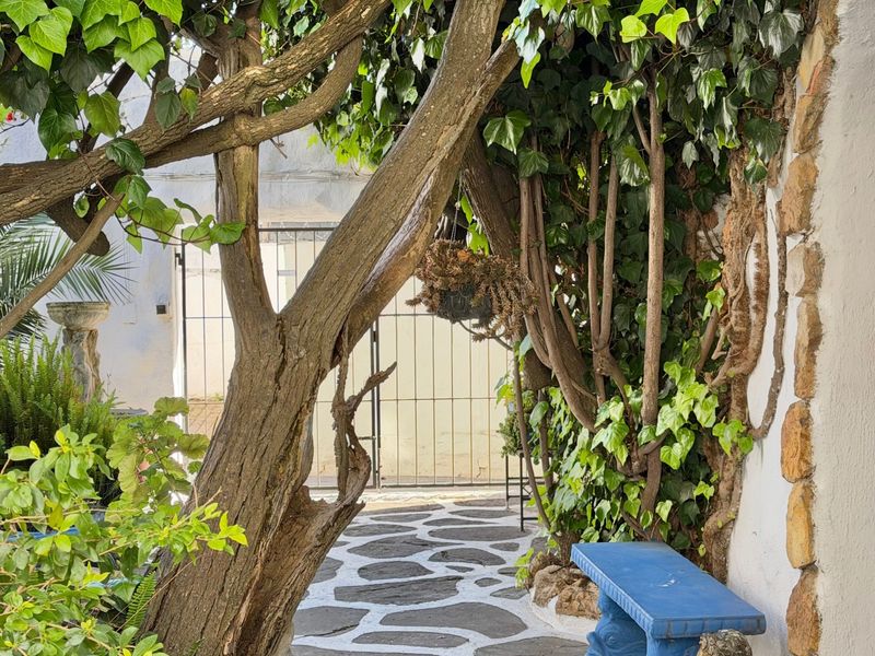 A charming, shaded outdoor patio area featuring stone-paved flooring, natural stone wall accents, and a secure metal gate entrance.