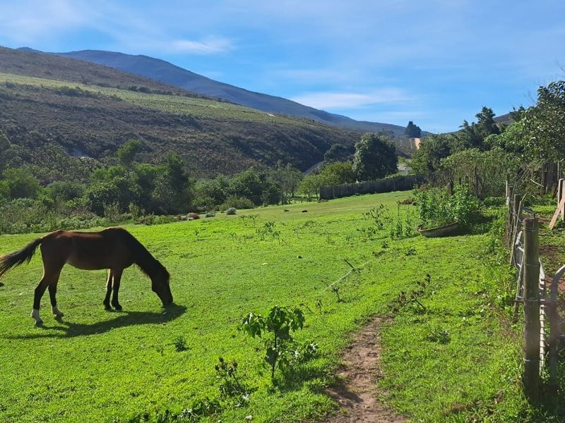 A scenic view of the farm property featuring expansive green pastures, mountain vistas, and established boundary fencing.