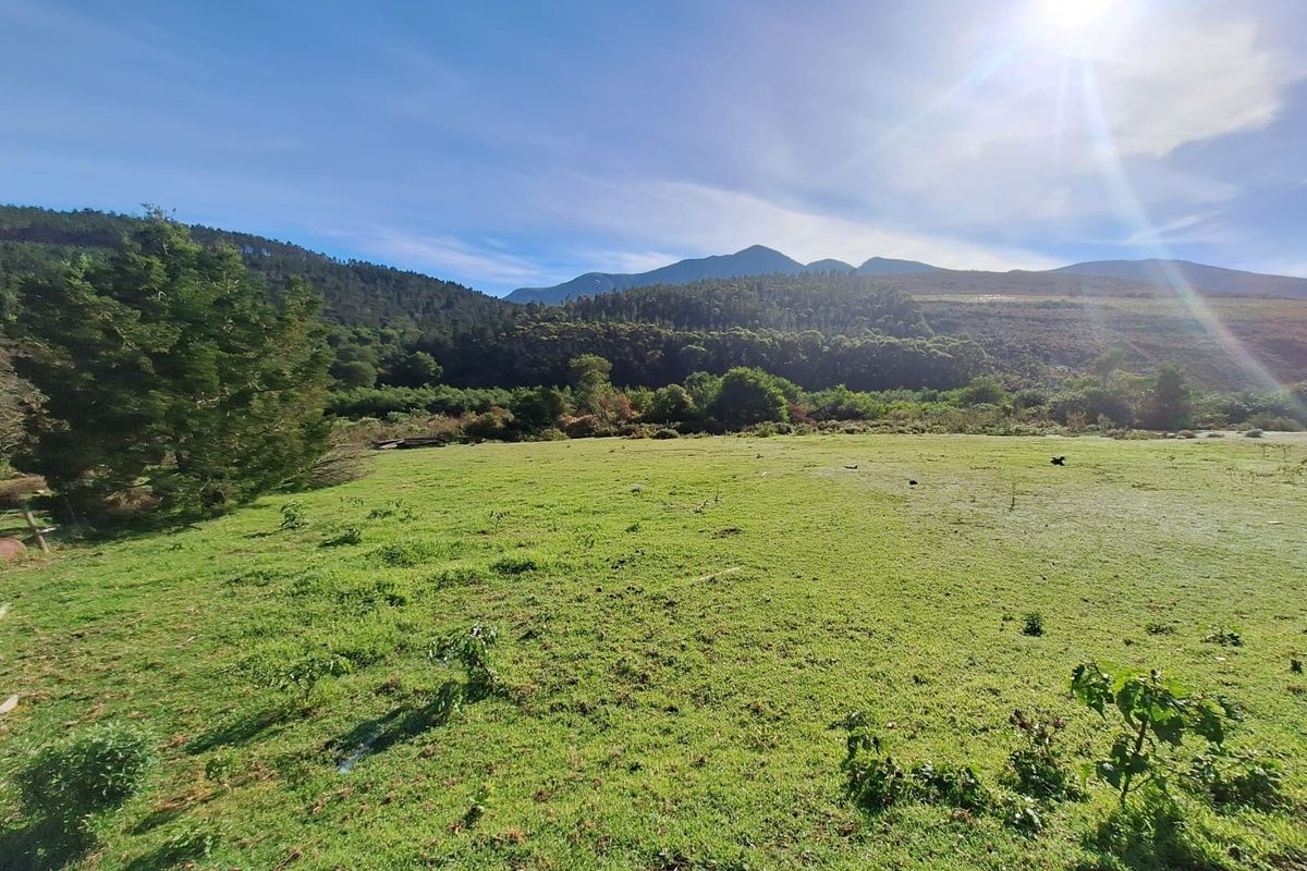 A scenic view of the expansive green pasture and surrounding mountain range on this farm property.