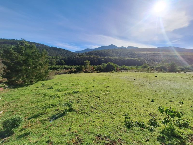 A scenic view of the expansive green pasture and surrounding mountain range on this farm property.