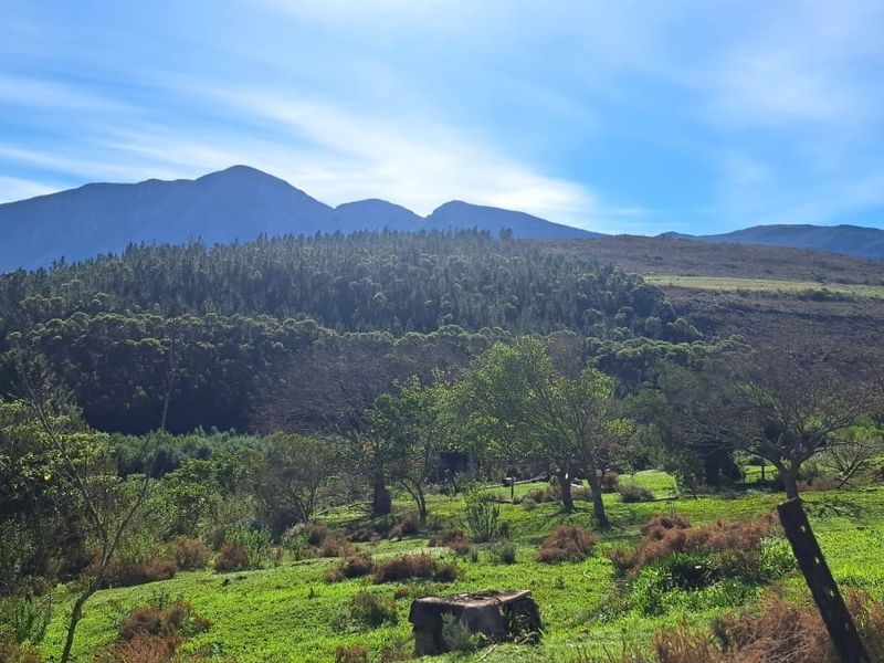 A scenic landscape view of the farm property featuring rolling green pastures, mature trees, and a prominent mountain range in the background.
