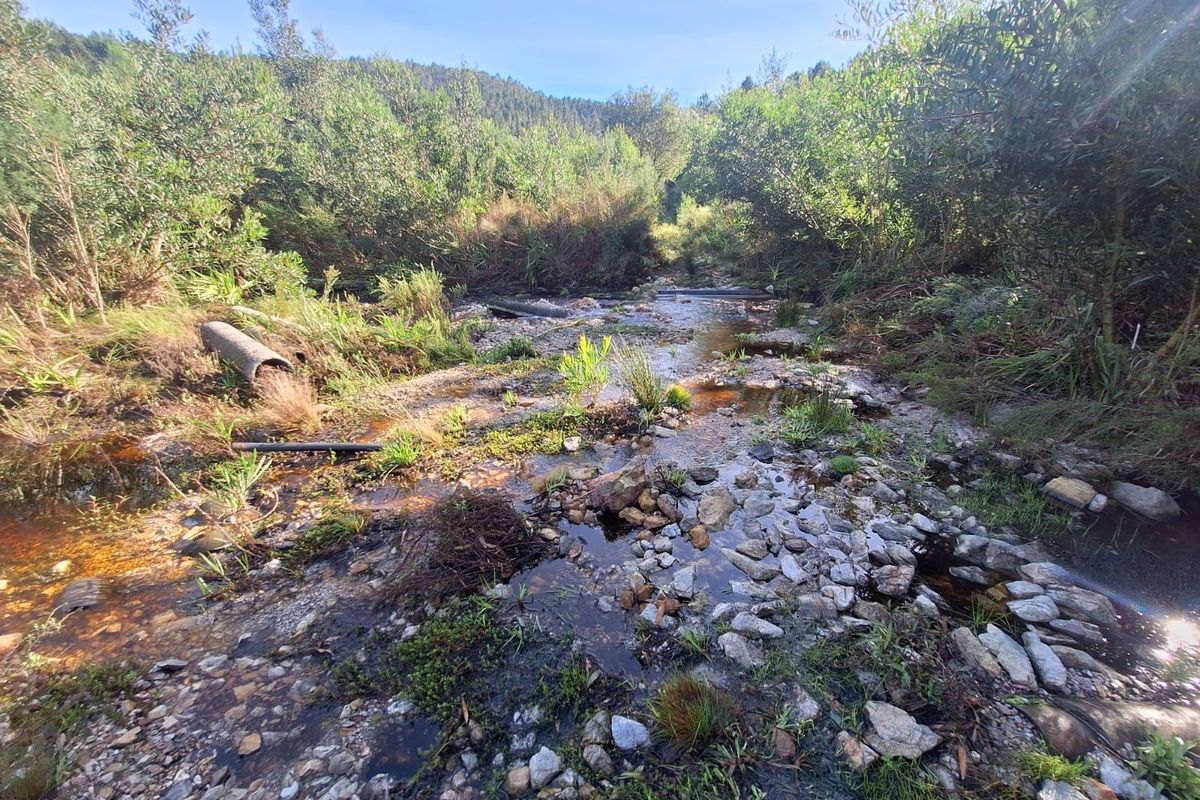 A scenic view of a natural stream flowing through a rocky riverbed surrounded by lush native vegetation on the farm property.