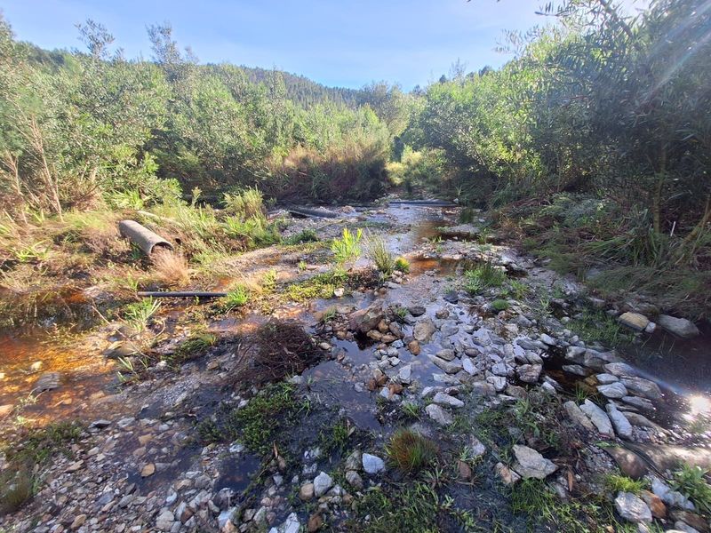 A scenic view of a natural stream flowing through a rocky riverbed surrounded by lush native vegetation on the farm property.