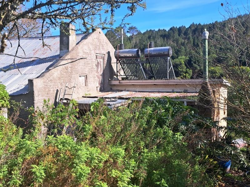 Rear view of a rustic farm building featuring a corrugated metal roof, solar water heating system, and stone chimney, surrounded by dense garden vegetation.
