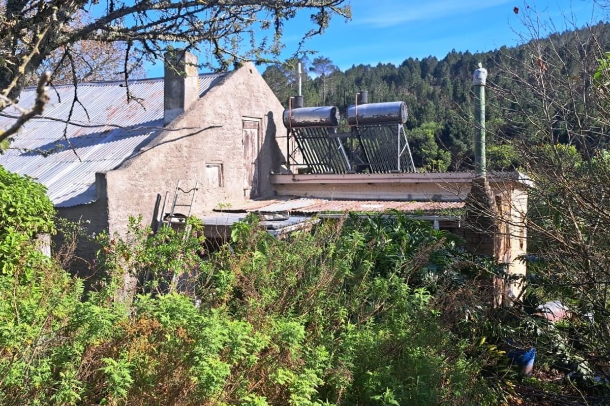 Rear view of a rustic farm building featuring a corrugated metal roof, solar water heating system, and stone chimney, surrounded by dense garden vegetation.