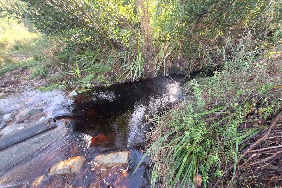A natural stream flowing through the property, surrounded by native riparian vegetation and rocky terrain.