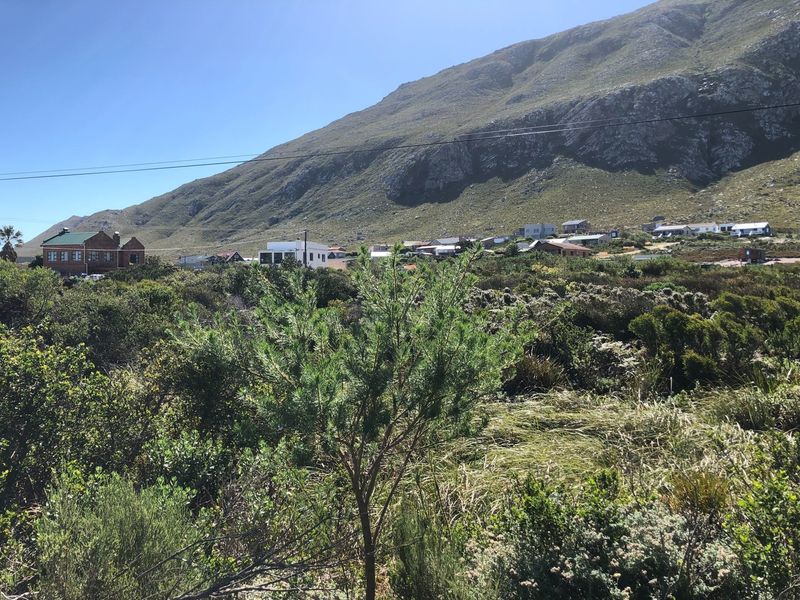 SPACIOUS VACANT ERF IN BETTYS BAY - Photo 5