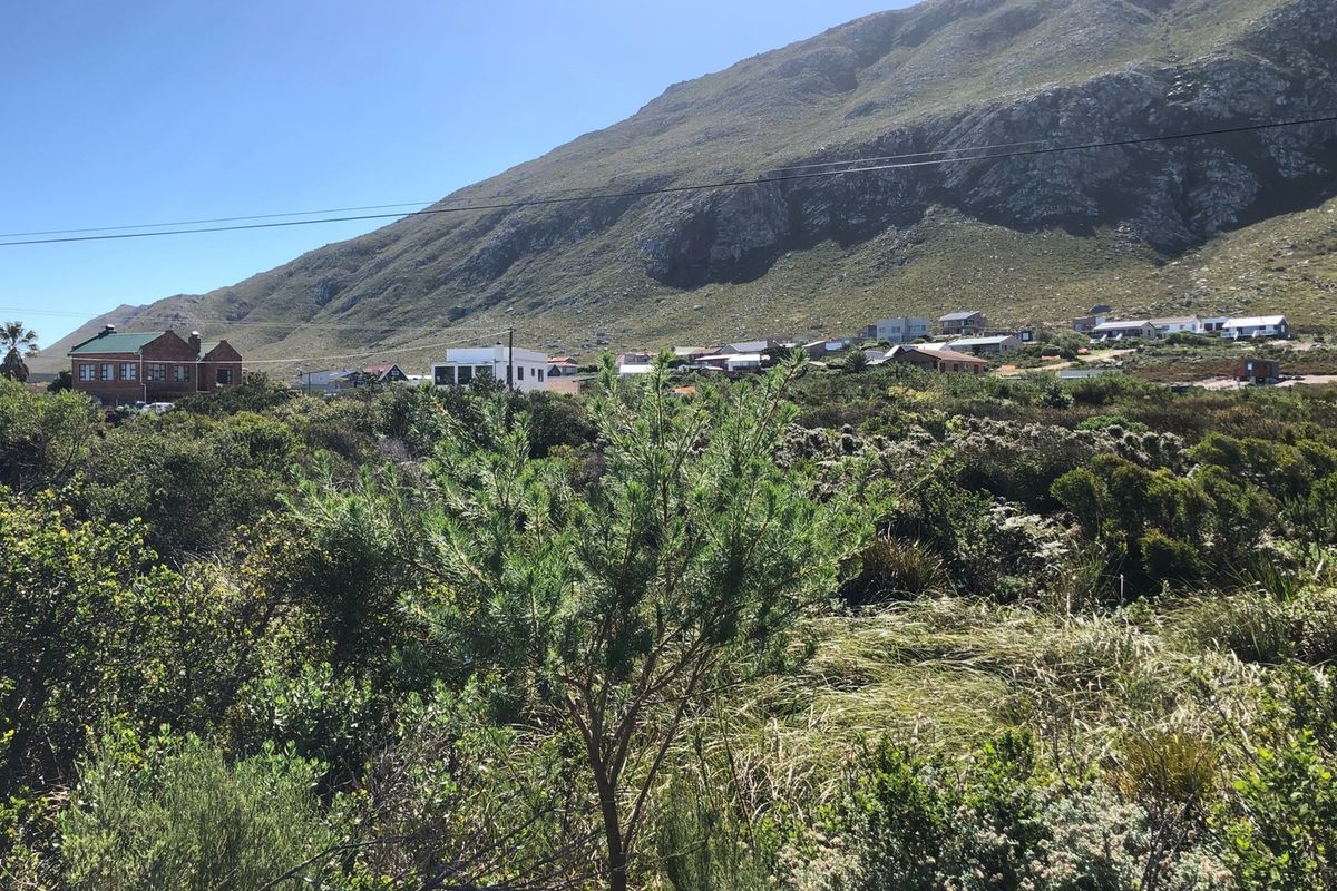 SPACIOUS VACANT ERF IN BETTYS BAY - Photo 5