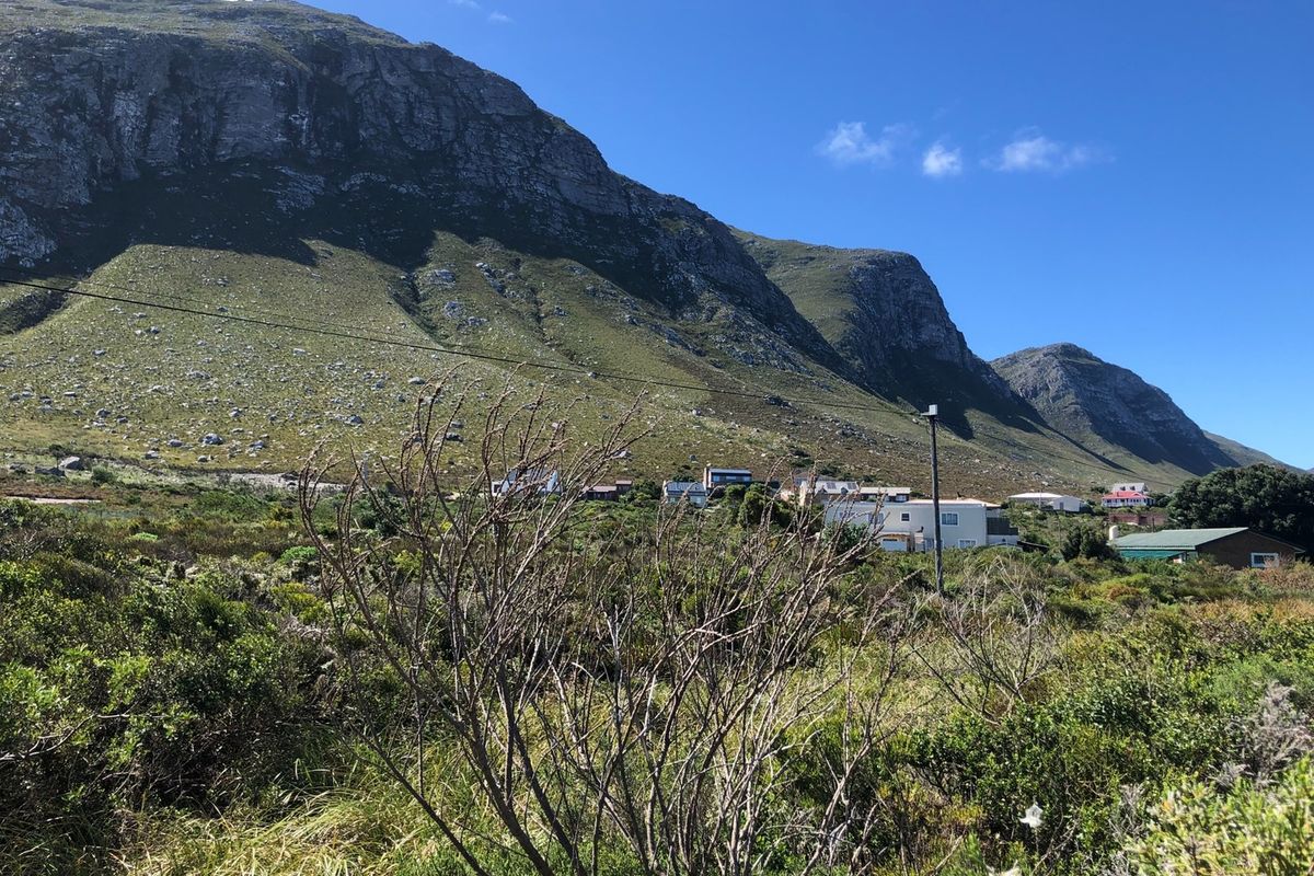 SPACIOUS VACANT ERF IN BETTYS BAY - Photo 3