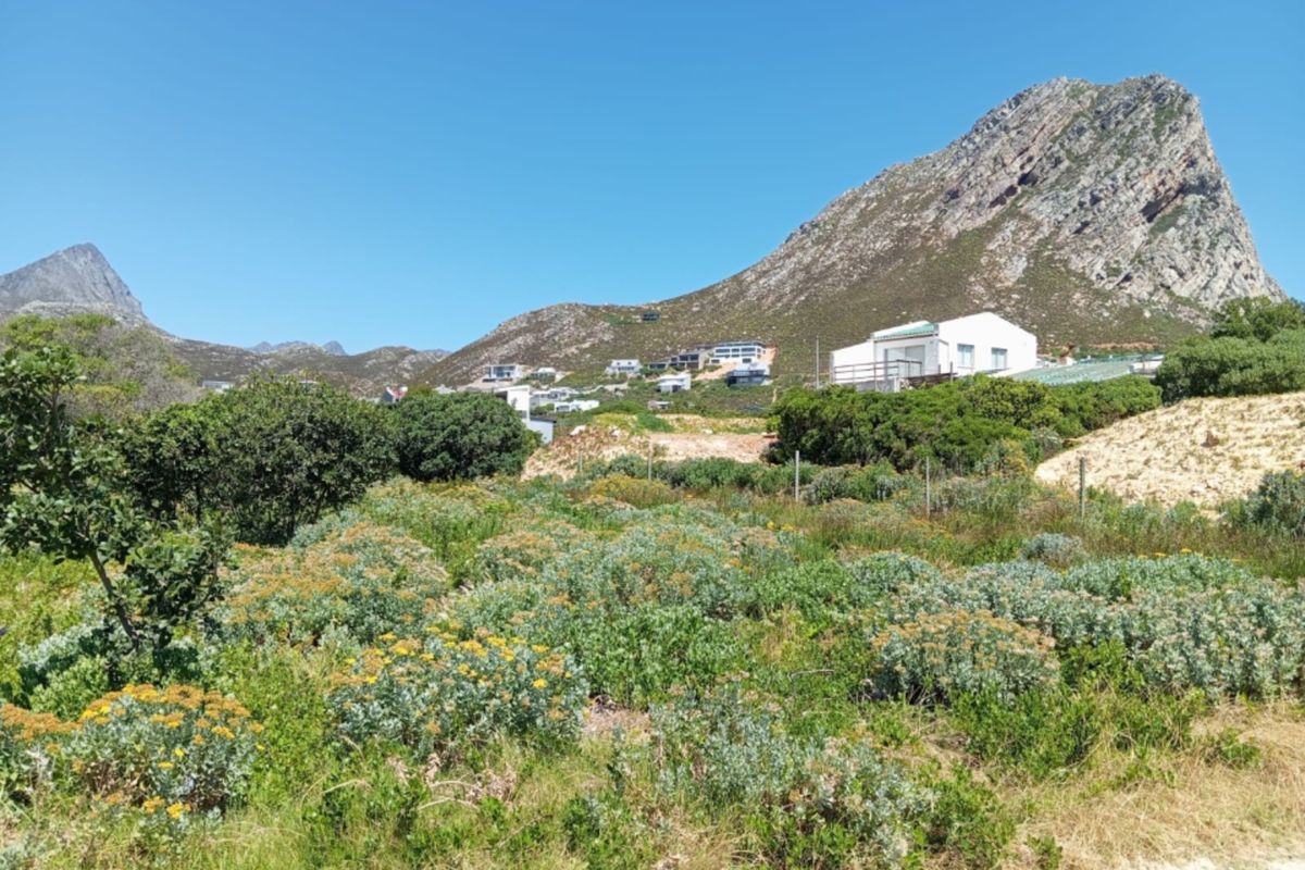 A vacant residential plot featuring natural coastal vegetation and mountain views, offering a blank canvas for future development.