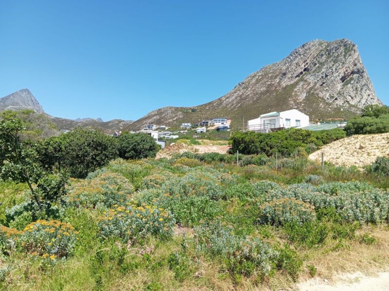 A vacant residential plot featuring natural coastal vegetation and mountain views, offering a blank canvas for future development.