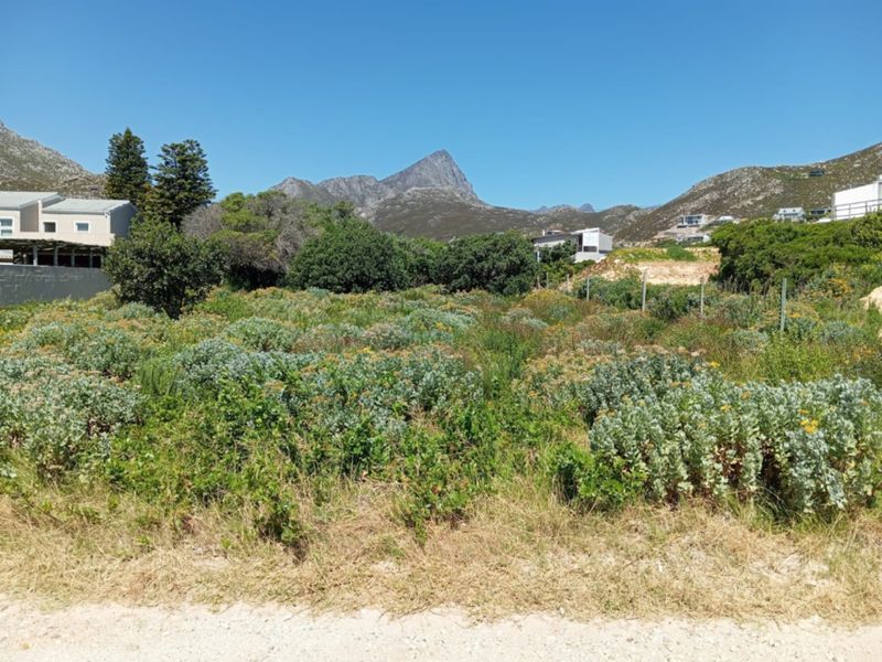 A vacant residential plot featuring natural vegetation and mountain views, offering a prime opportunity for custom development in a scenic location.
