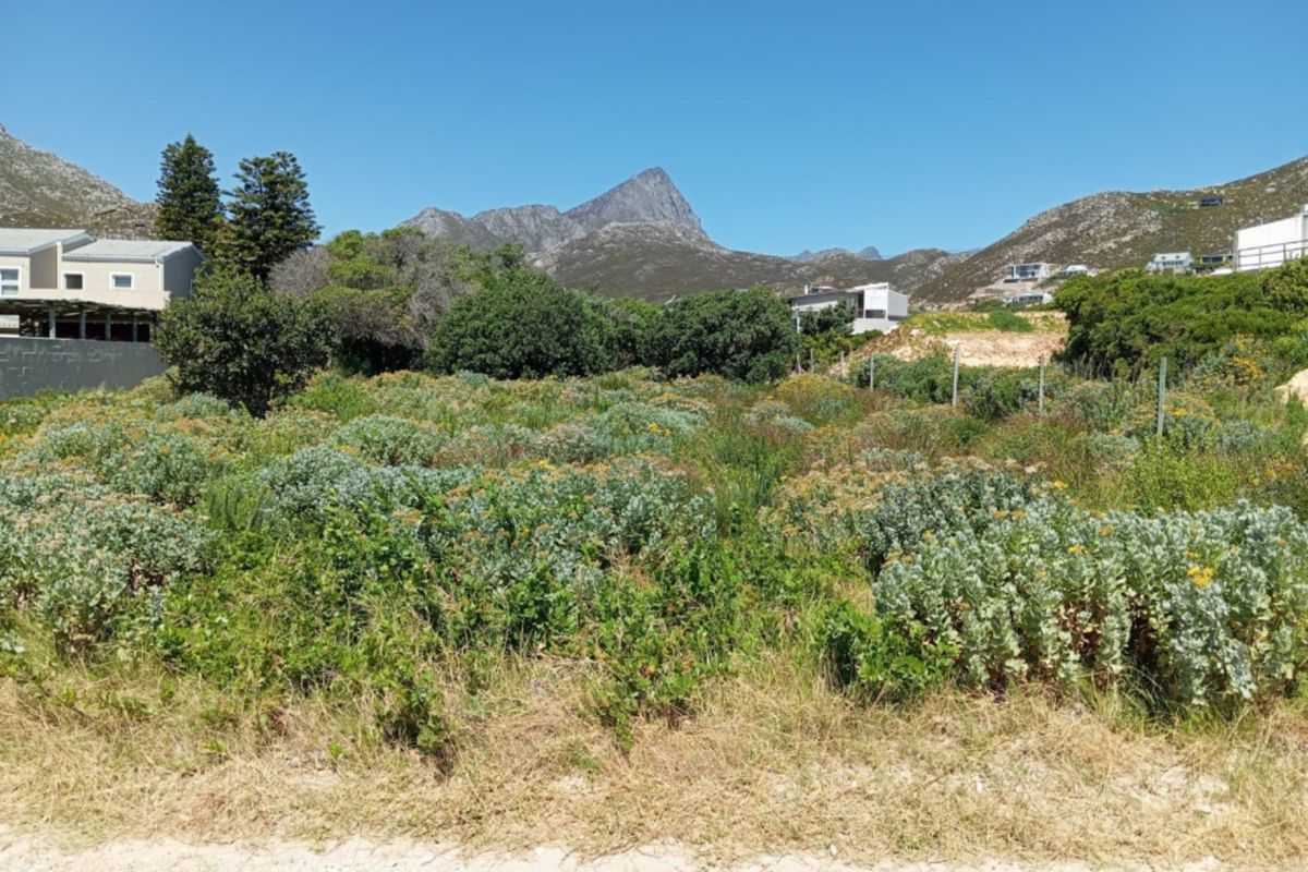 A vacant residential plot featuring natural vegetation and mountain views, offering a prime opportunity for custom development in a scenic location.
