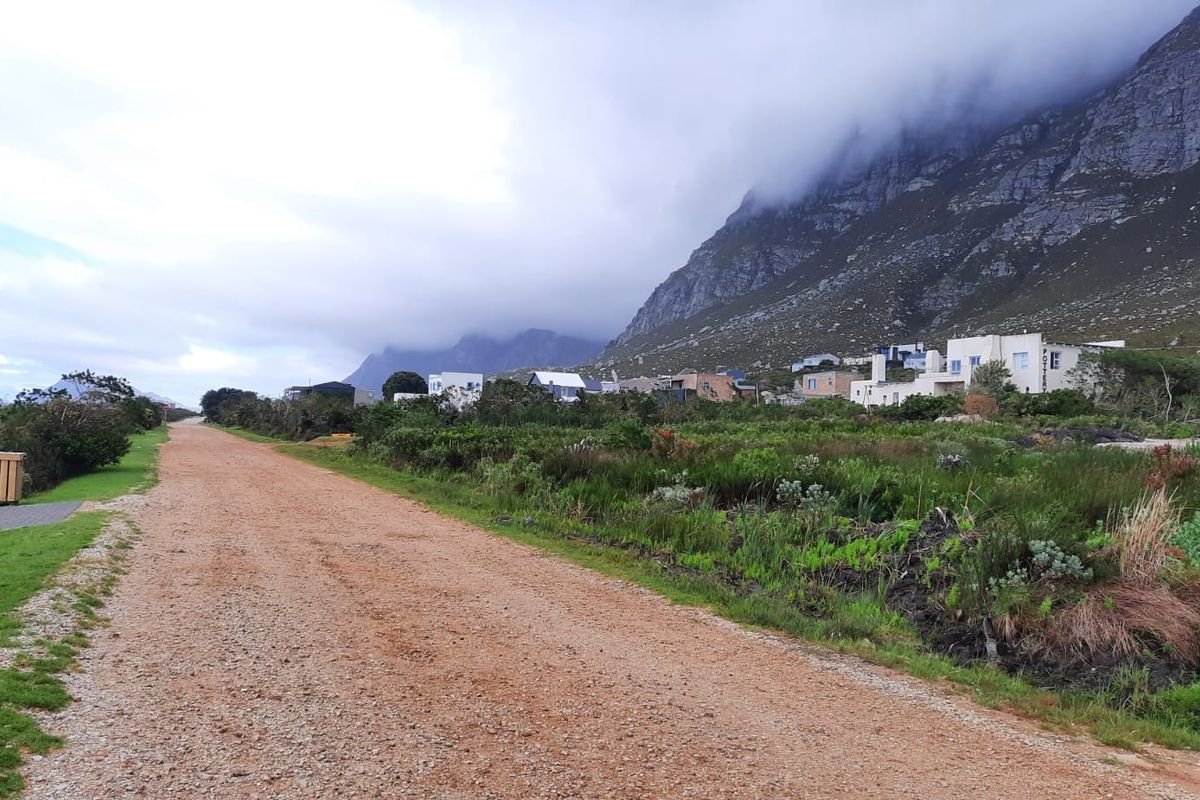 A view of an unpaved residential street with surrounding natural vegetation and mountain scenery in the background.