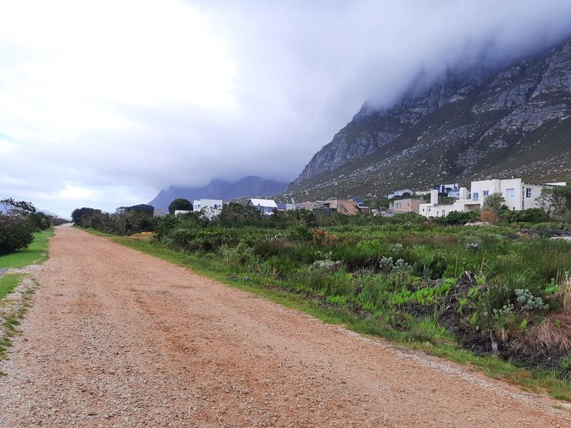 A view of an unpaved residential street with surrounding natural vegetation and mountain scenery in the background.