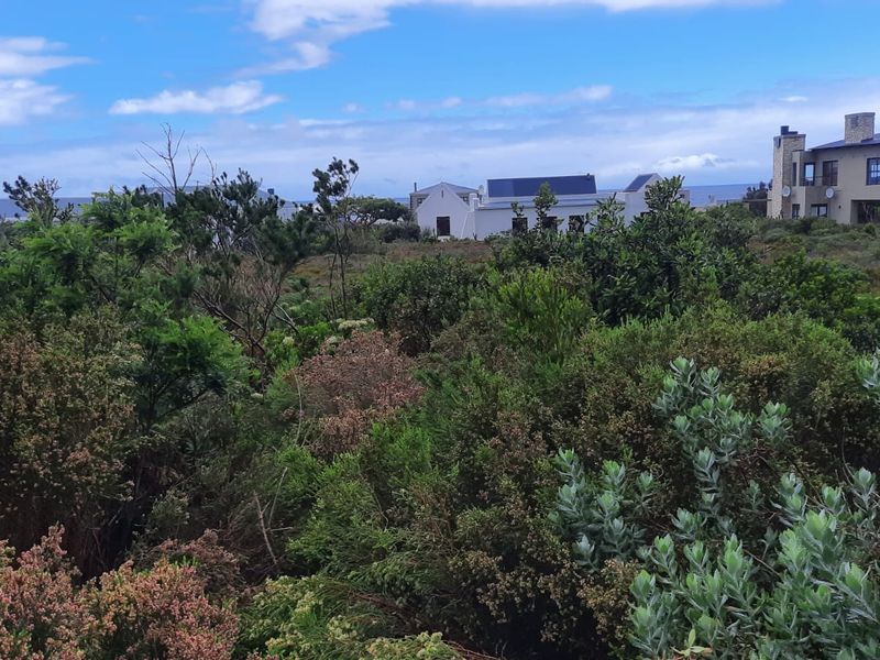 A view of the surrounding coastal landscape and indigenous vegetation, showcasing the natural setting of the residential property.