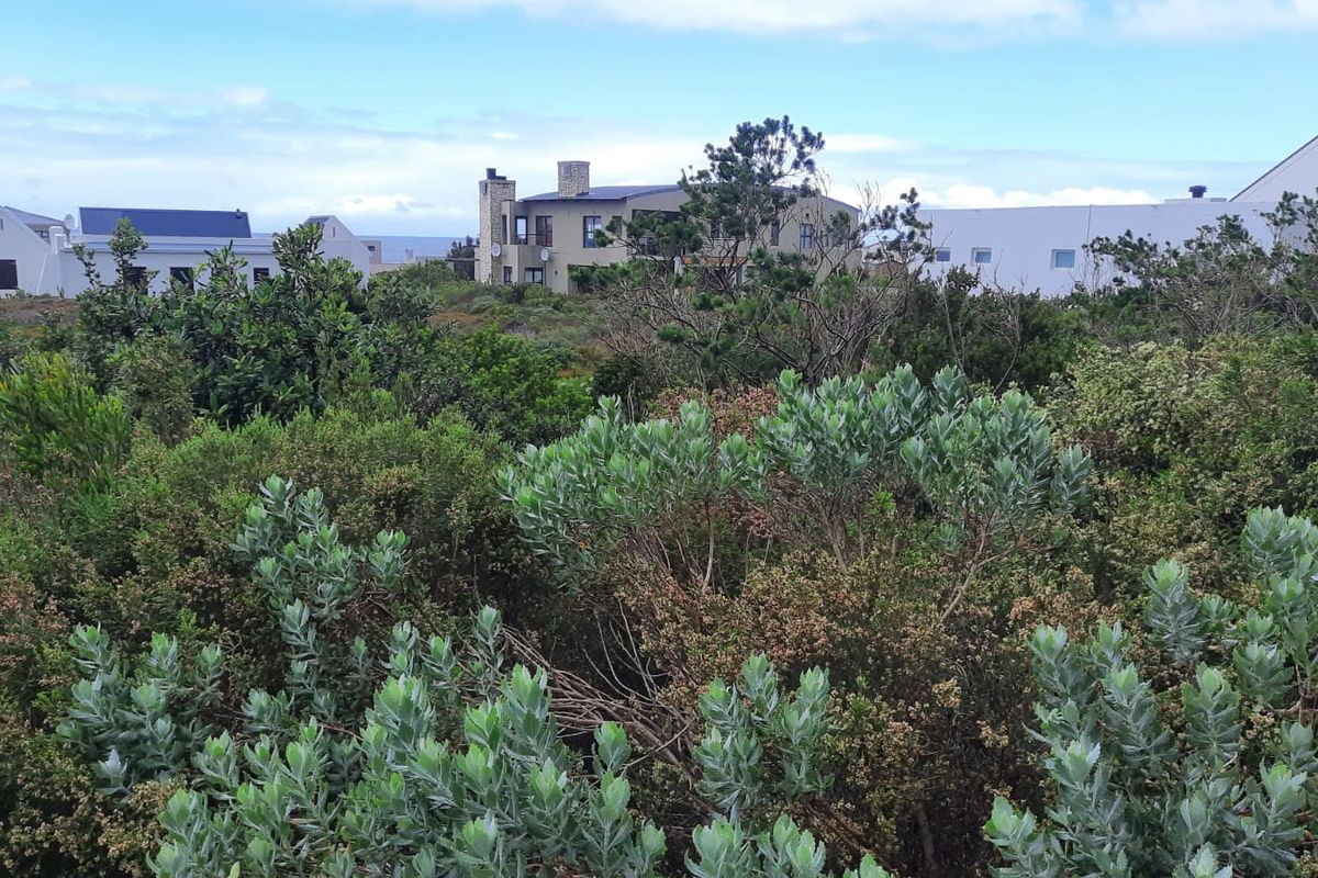 A view of the surrounding residential neighborhood and natural coastal vegetation from the vacant land plot.