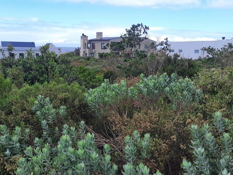 A view of the surrounding residential neighborhood and natural coastal vegetation from the vacant land plot.