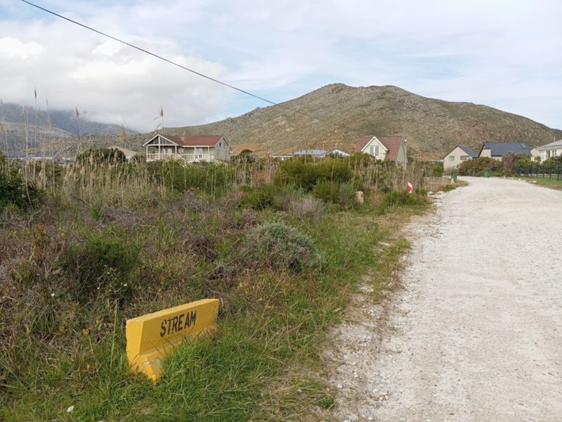 A view of an unpaved residential street with natural vegetation and surrounding mountain landscape in a vacant land setting.