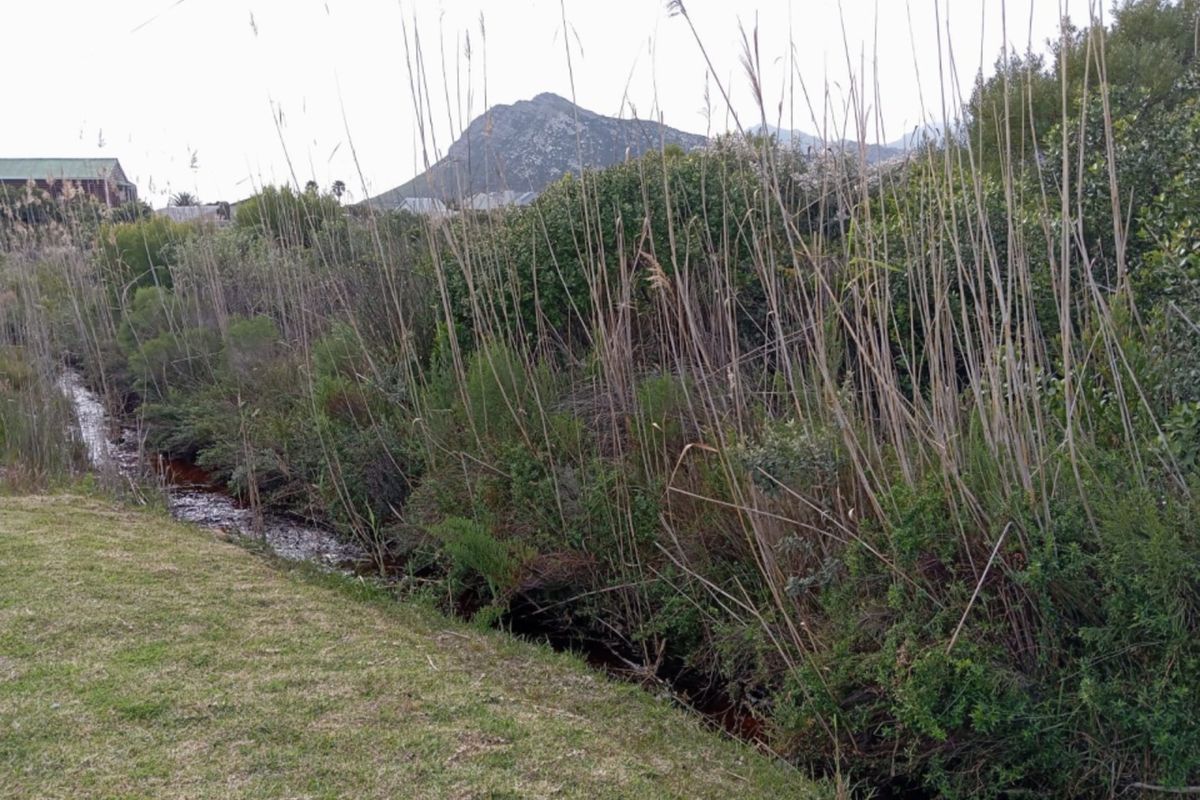 A scenic view of a natural stream bordered by indigenous vegetation with a prominent mountain backdrop, highlighting the property's natural landscape.